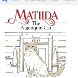That Cat Blog – One of the best cat-themed children’s books